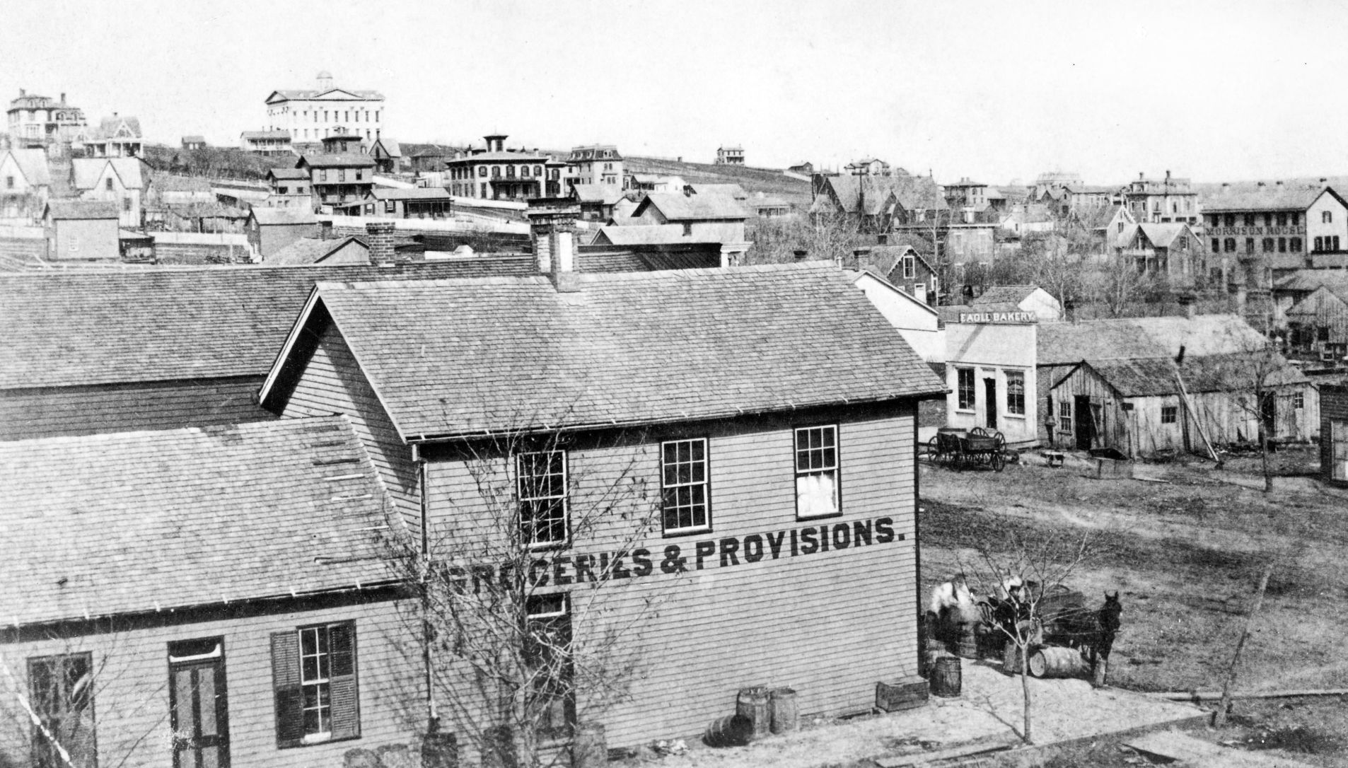 Groceries & Provisions